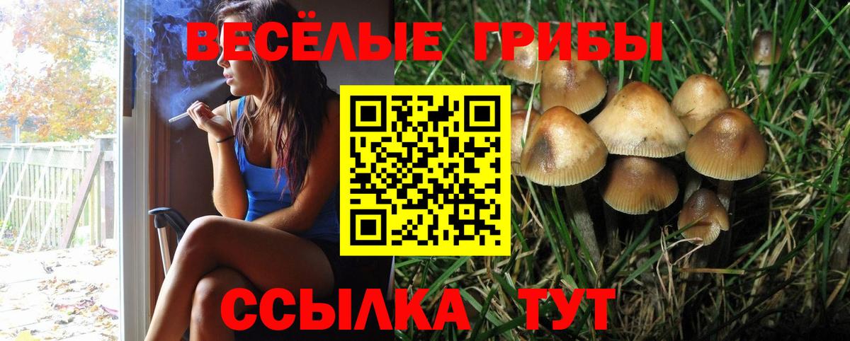 Галлюциногенные грибы Cubensis  Вход с VPN  Псилоцибиновые грибы Magic Shrooms  Белгород 